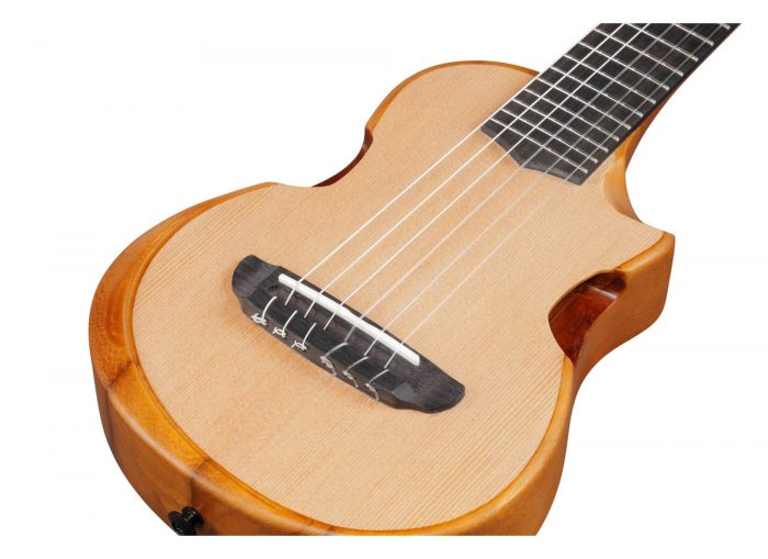 Ibanez AUP10N-OPN
