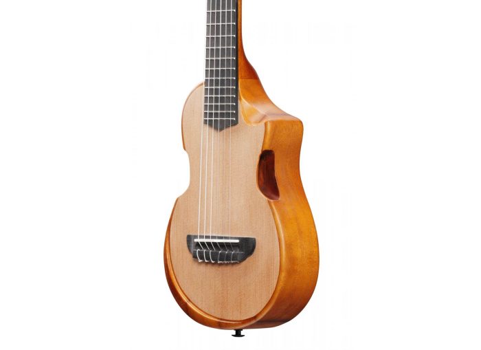 Ibanez AUP10N-OPN