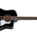 Taylor Somos 250ce Plus BLK "Doce Doble" 12-string,Black