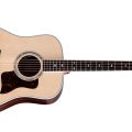 Taylor Legacy 810e,Natural