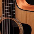 Taylor Somos 150ce "Doce Doble" 12-string,Natural