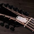 Taylor Somos 250ce Plus BLK Bajo Quinto 10-string,Black