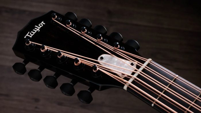 Taylor Somos 250ce Plus BLK Bajo Quinto 10-string,Black