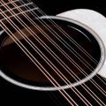 Taylor Somos 250ce Plus BLK "Doce Doble" 12-string,Black