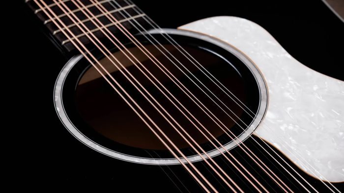 Taylor Somos 250ce Plus BLK "Doce Doble" 12-string,Black