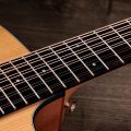 Taylor Somos 150ce "Doce Doble" 12-string,Natural