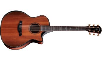 Taylor Builder's Edition 914ce Next Generation