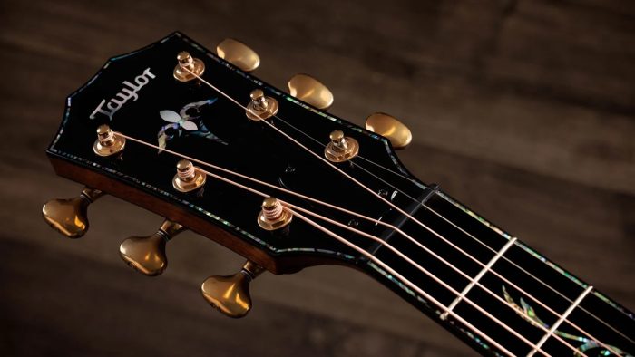 Taylor PS14ce HRW/Sinker Redwood Next Generation