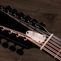 Taylor Somos 250ce Plus BLK "Doce Doble" 12-string,Black