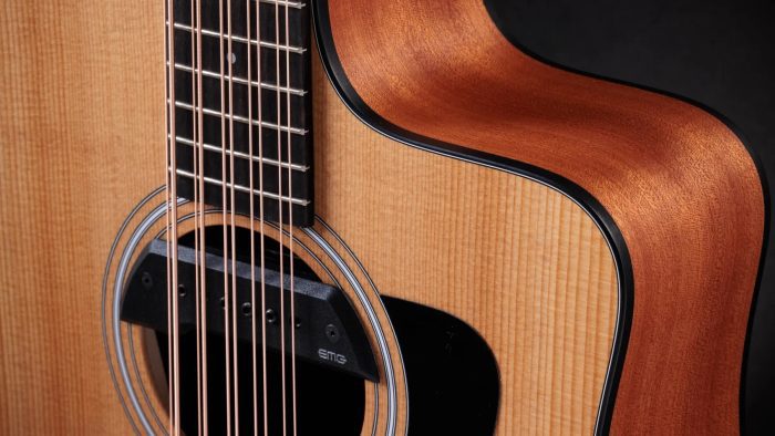 Taylor Somos 150ce Bajo Quinto 10-string,Natural