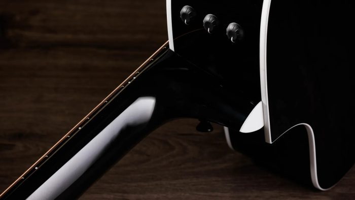 Taylor Somos 250ce Plus BLK "Doce Doble" 12-string,Black