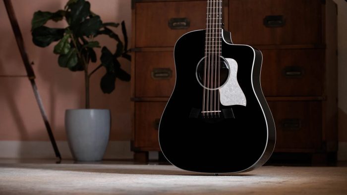 Taylor Somos 250ce Plus BLK Bajo Quinto 10-string,Black