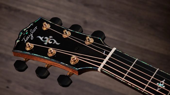 Taylor Gold Label 917e,Honduran Rosewood,Sunburst