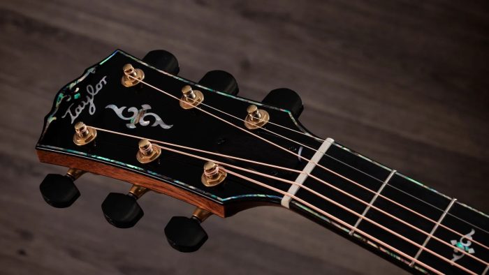 Taylor Gold Label 917e,Honduran Rosewood,Natural