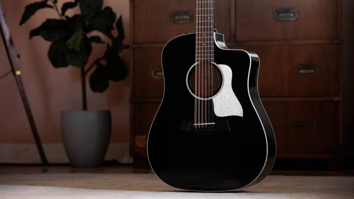 Taylor Somos 250ce Plus BLK "Doce Doble" 12-string,Black