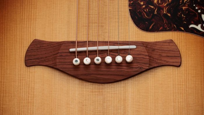 Taylor Gold Label 917e,Honduran Rosewood,Sunburst