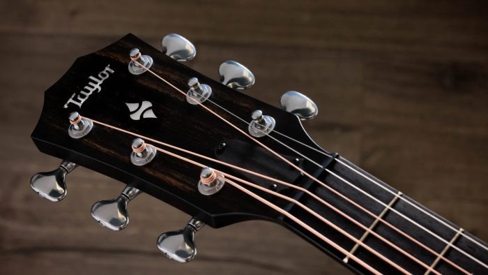 Taylor Builder's Edition 514ce, Natural Next Generation