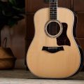 Taylor Legacy 810e,Natural