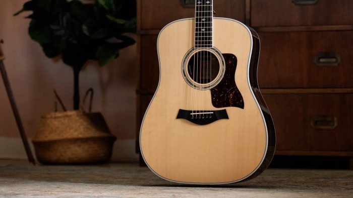 Taylor Legacy 810e,Natural