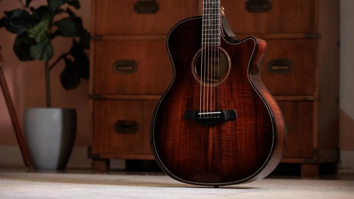 Taylor Builder's Edition K24ce Next Generation