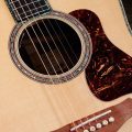 Taylor Gold Label 917e,Honduran Rosewood,Natural
