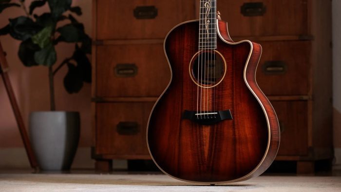 Taylor K24ce Next Generation