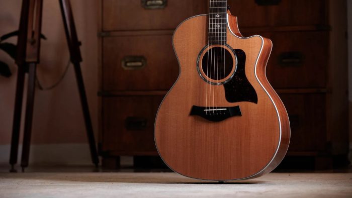 Taylor 514ce Next Generation