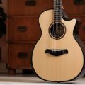 Taylor Builder's Edition 914ce, Hon RW/Redwood Next Generation