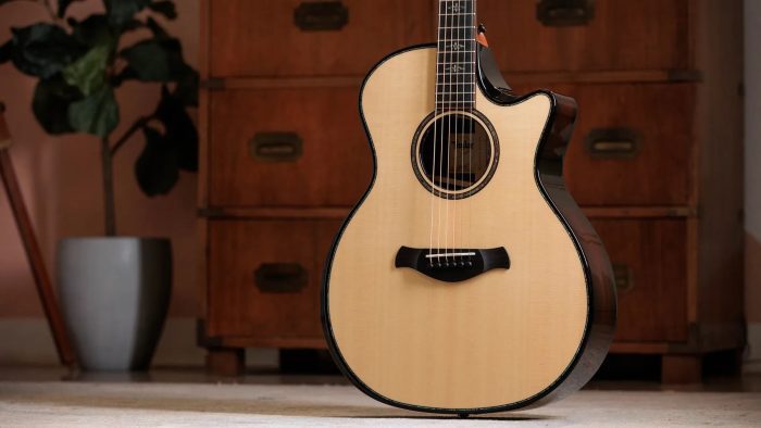 Taylor Builder's Edition 914ce, Hon RW/Redwood Next Generation