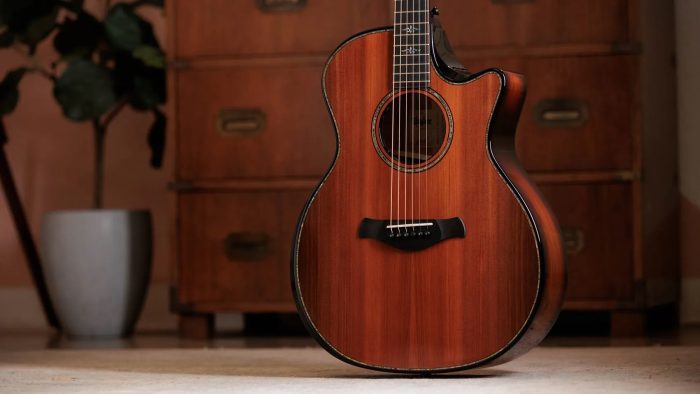 Taylor Builder's Edition 914ce Next Generation