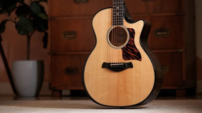 Taylor Builder's Edition 514ce, Natural Next Generation