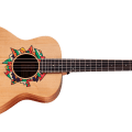 Taylor Jacob Collier GS Mini 5-String
