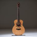 Taylor Jacob Collier GS Mini 5-String