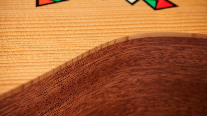 Taylor Jacob Collier GS Mini 5-String