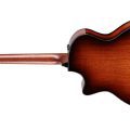 Taylor PS14ce,Ironbark / Sinker Redwood,Shaded Edgeburst