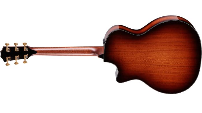 Taylor PS14ce,Ironbark / Sinker Redwood,Shaded Edgeburst