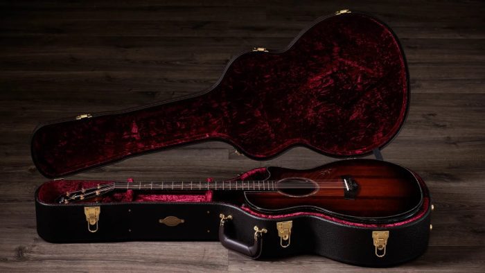 Taylor PS14ce,Ironbark / Sinker Redwood,Shaded Edgeburst