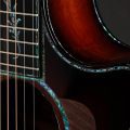 Taylor PS14ce,Ironbark / Sinker Redwood,Shaded Edgeburst
