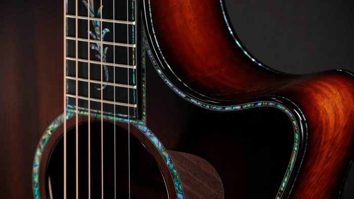 Taylor PS14ce,Ironbark / Sinker Redwood,Shaded Edgeburst