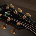 Taylor PS14ce,Ironbark / Sinker Redwood,Shaded Edgeburst