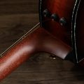 Taylor PS14ce,Ironbark / Sinker Redwood,Shaded Edgeburst