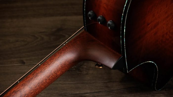 Taylor PS14ce,Ironbark / Sinker Redwood,Shaded Edgeburst