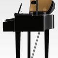 Kawai Dg 30 Digital Grand