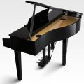 Kawai Dg 30 Digital Grand