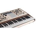 Arturia PolyBrute 12