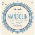 Daddario Mandolinstr. J73