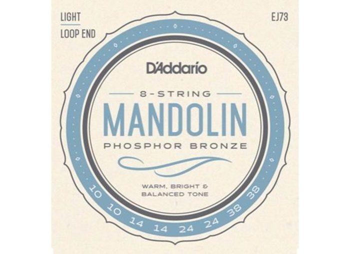 Daddario Mandolinstr. J73