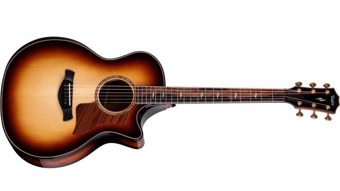 Taylor Builder's Edition 814ce Honduran / Adirondack, Next Generation
