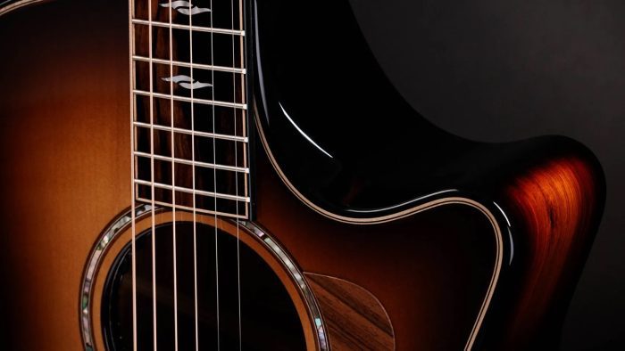 Taylor Builder's Edition 814ce Honduran / Adirondack, Next Generation