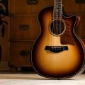 Taylor Builder's Edition 814ce Honduran / Adirondack, Next Generation